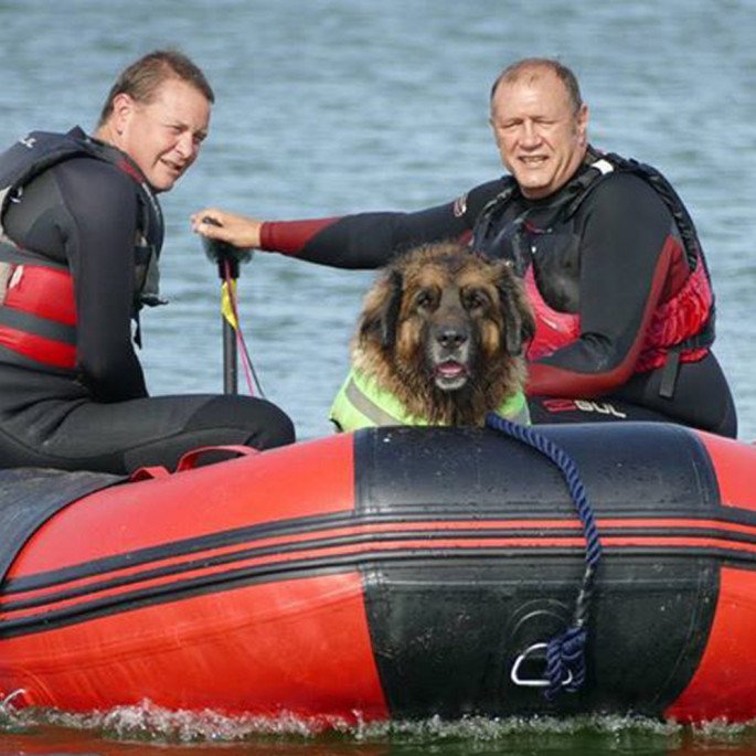 Jersey Big Dog Club in a Northern Diver 4.2m Inflatable Boat with an Aluminium Floor 