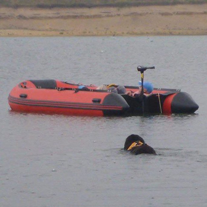 Jersey Big Dog Club - Leonberger dog swimming towards a Northern Diver 4.2m Inflatable Boat with an Aluminium Floor to look for casualties, as part of water tests