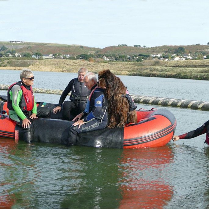 Jersey Big Dog Club with a Northern Diver 4.2m Inflatable Boat with an Aluminium Floor - with 3 people and a Newfoundland in being pulled to shore by a person
