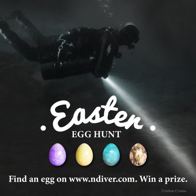 The Easter Egg Hunt Is On! image 0