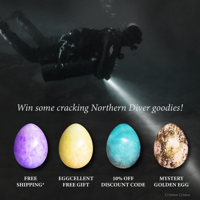 The Easter Egg Hunt Is On! image 1