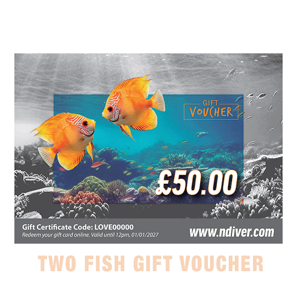 Northern Diver Gift Cards